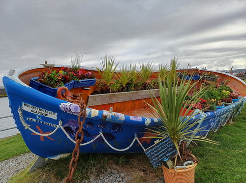 Unexpected Garden Stranraer