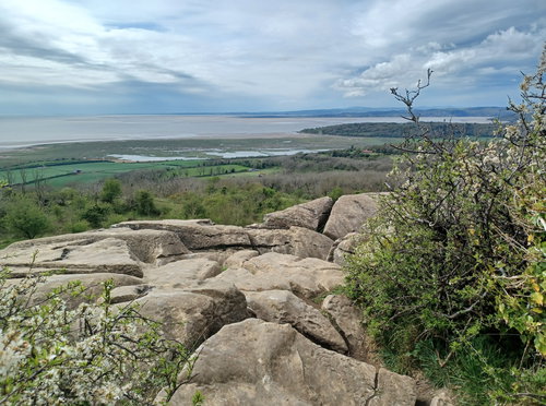 Warton Crag Nature Reserve