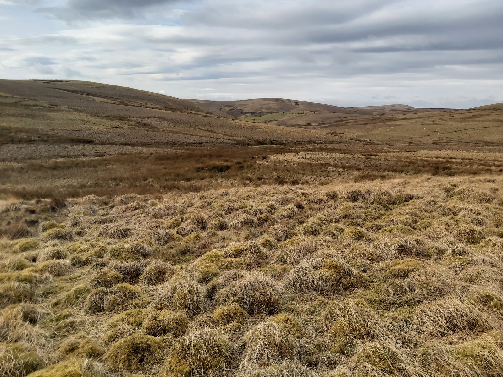Wedder Hill