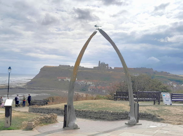 Whale Bone Arch