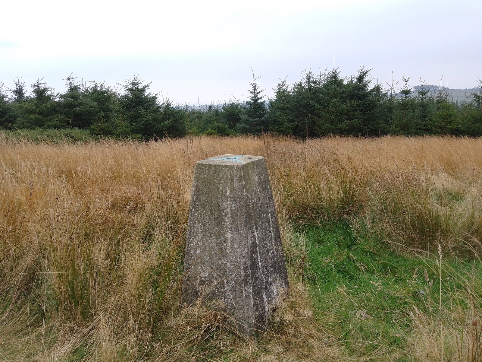 White House Hill Trig Point