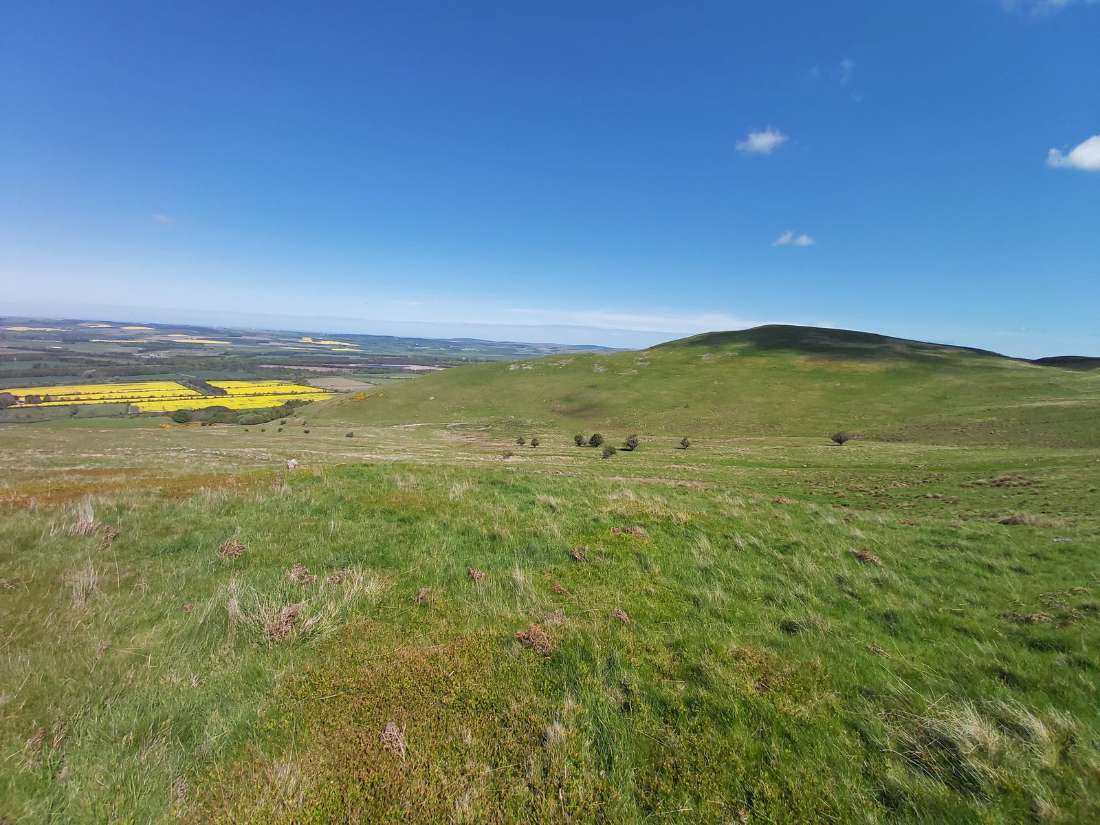 White Law Near Yeavering