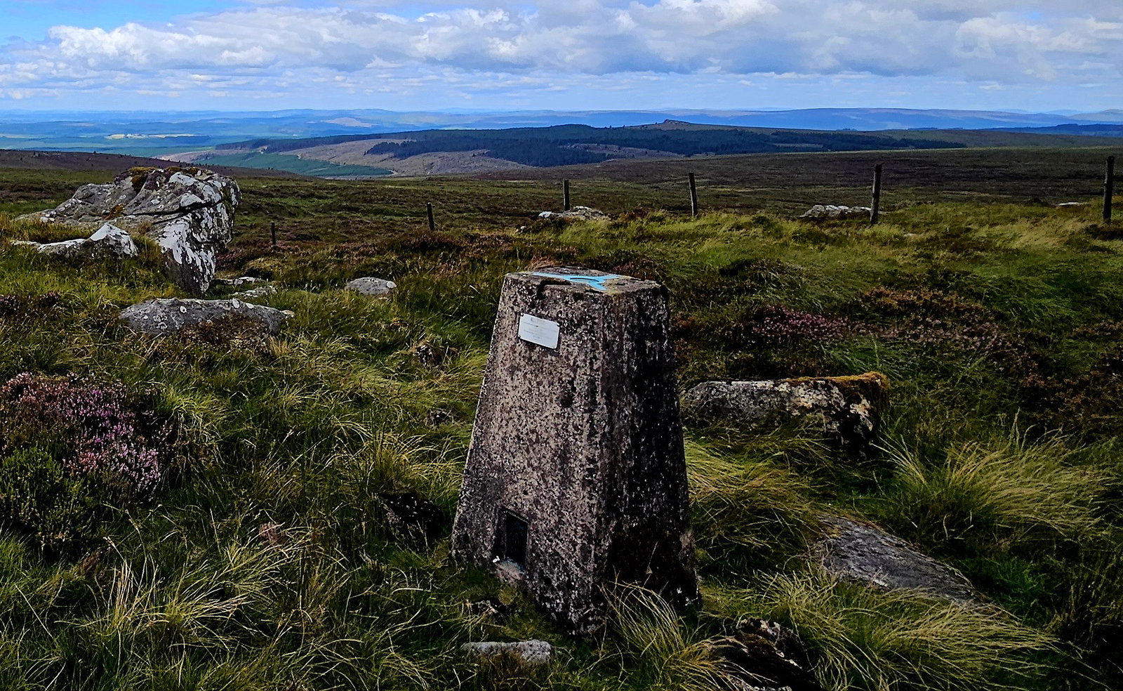 Whitelyne Common Trig Point
