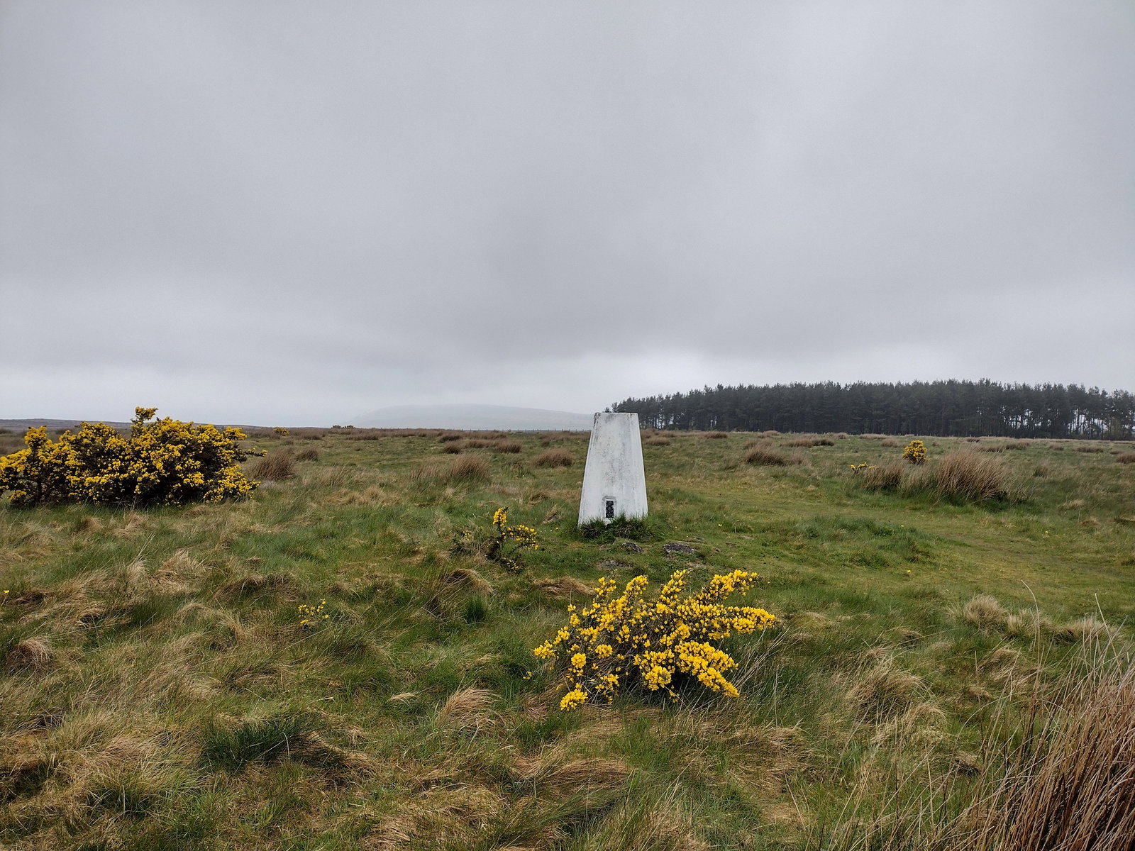 Whitsunbank Hill Trig Point