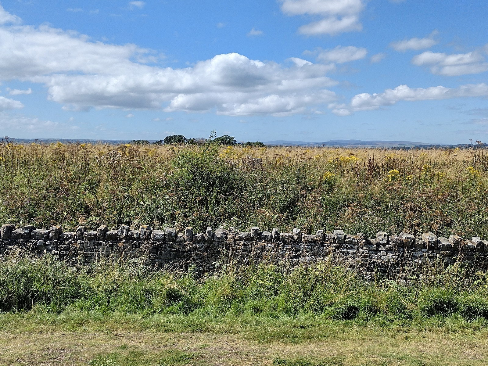 Whorley Resr Trig Point
