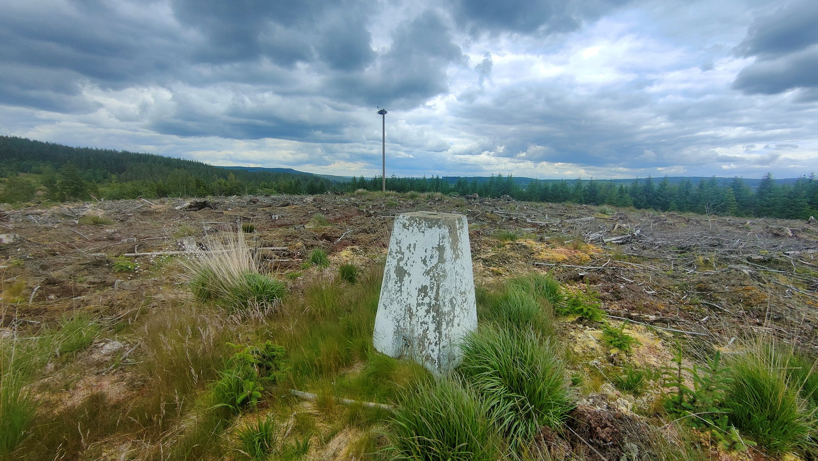 Wind Hill Trig Point