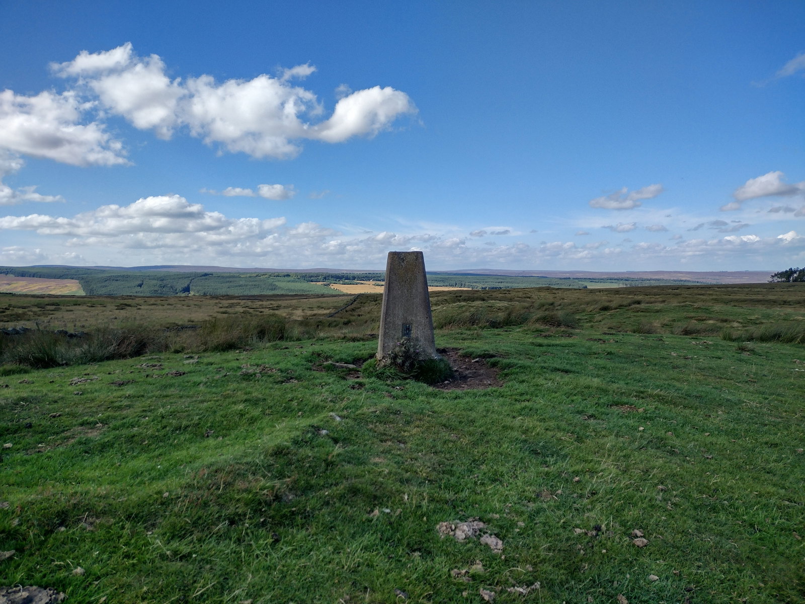 Woodland Trig Point