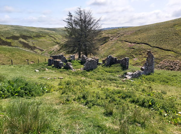 Yearning Hall