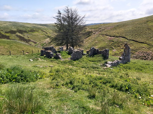 Yearning Hall