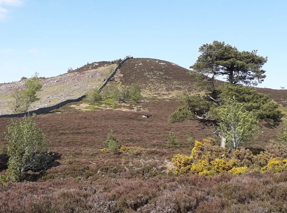 Hills