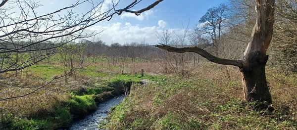 Allensford Park
