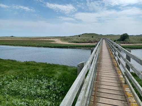 Beadnell Bay To Low Newton