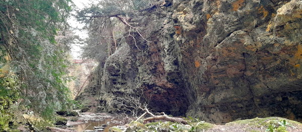 Castle Eden Dene (West Side)