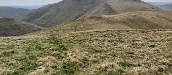 Clennell Street And Shillhope Law