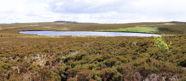Darden Lough