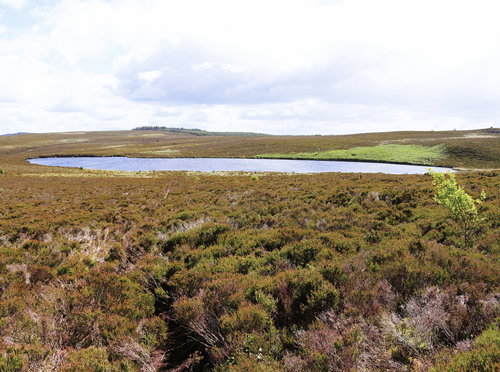 Darden Lough
