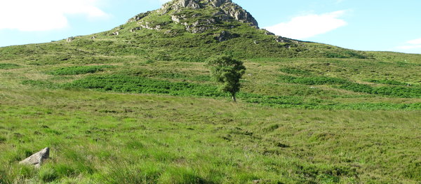 Harthope 5 Crags