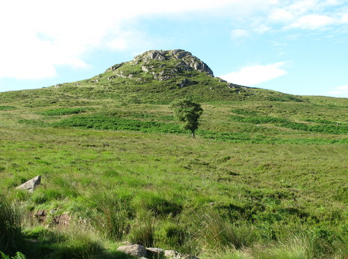 Harthope 5 Crags