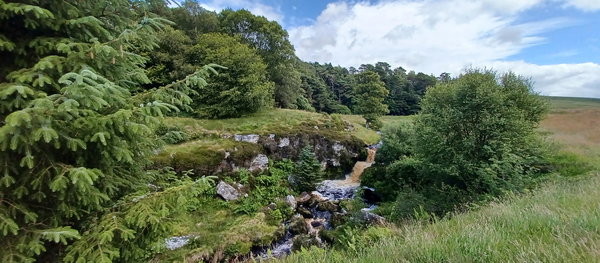 Stonehaugh Circular