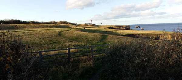 The Leas