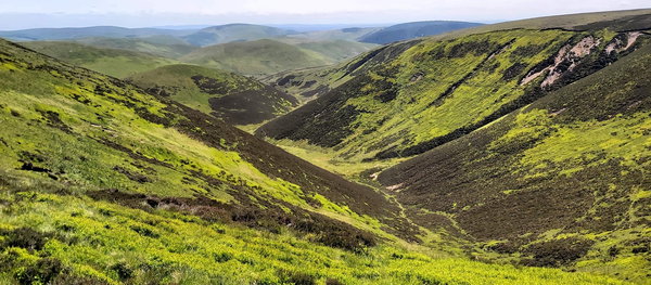 Yearning Law, Border Ridge To Windy Gyle