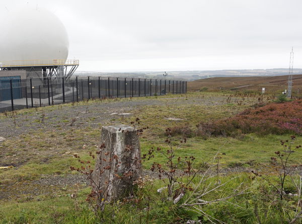 Brizlee Wood Trig Point