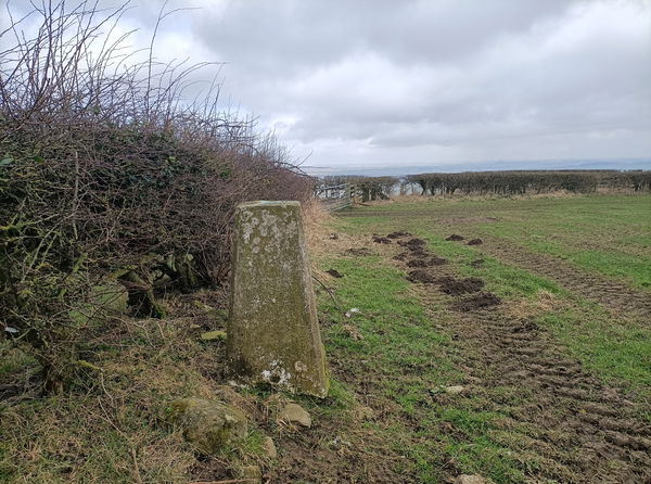 Mickley Trig Point