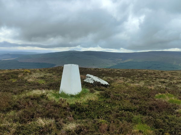 The Grun Trig Point
